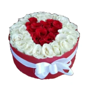 Flower Box 5
