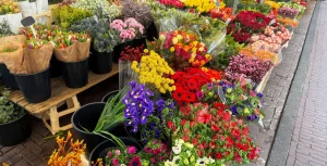 Toko Bunga Terbaik di Jabodetabek – Krista Florist